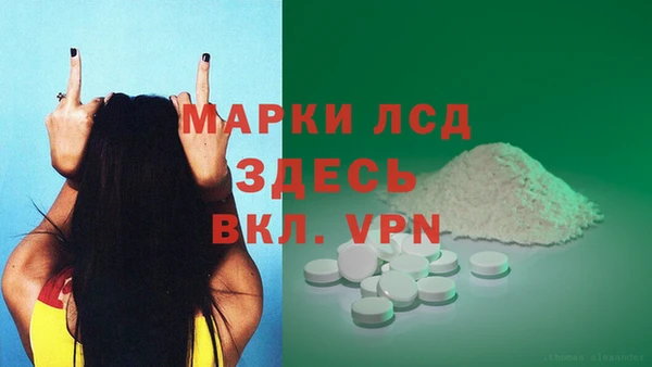 прущие грибы Новокубанск
