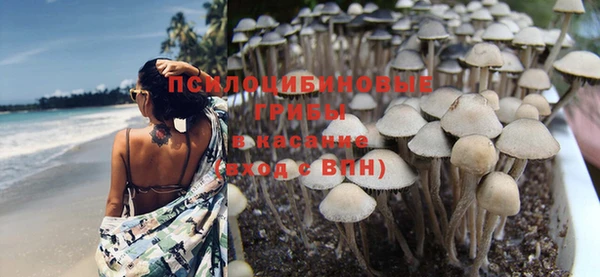 мдпв Нефтегорск