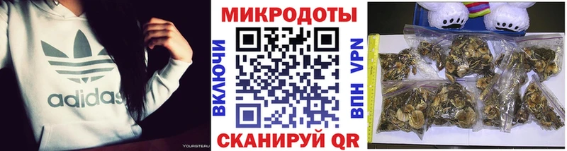 Псилоцибиновые грибы ЛСД Кимры