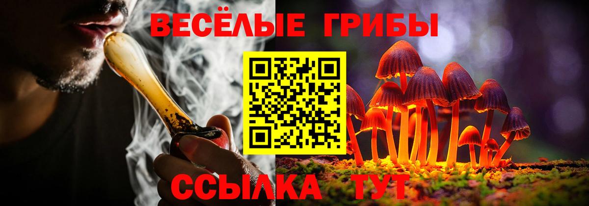 Галлюциногенные грибы мицелий  Галлюциногенные грибы Psilocybine cubensis  Вход с VPN  Кимры 