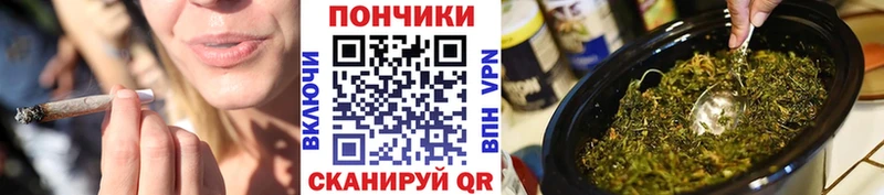 Бошки Шишки Amnesia  закладки  Кимры 
